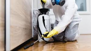 Best Pest Control for Multi-Family Homes  in Trabuco Nyon, CA